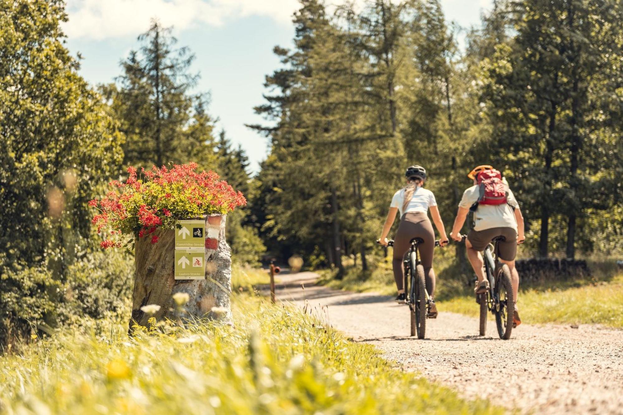 Landgasthof Zur Linde Laaben Buitenkant foto