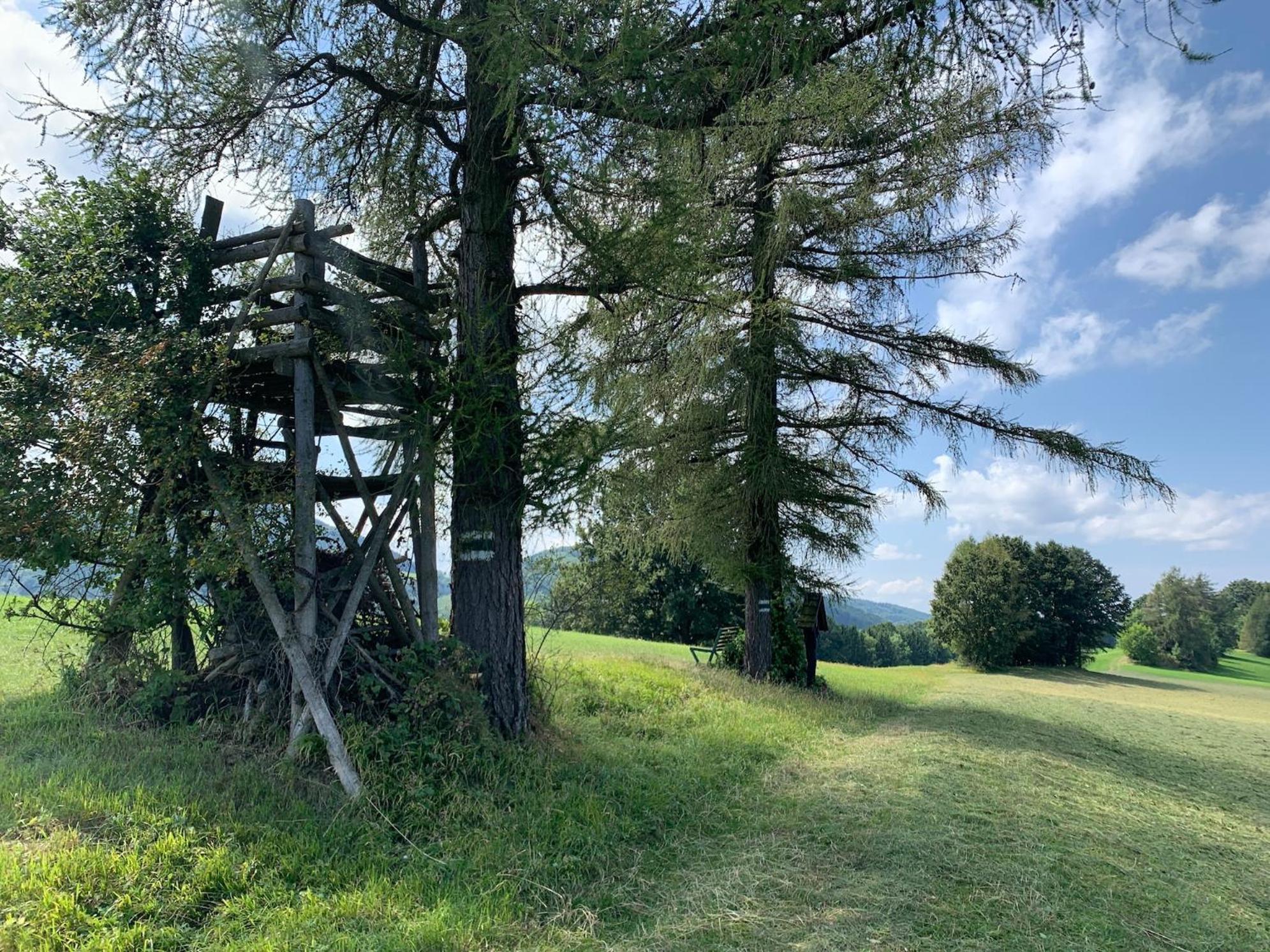 Landgasthof Zur Linde Laaben Buitenkant foto