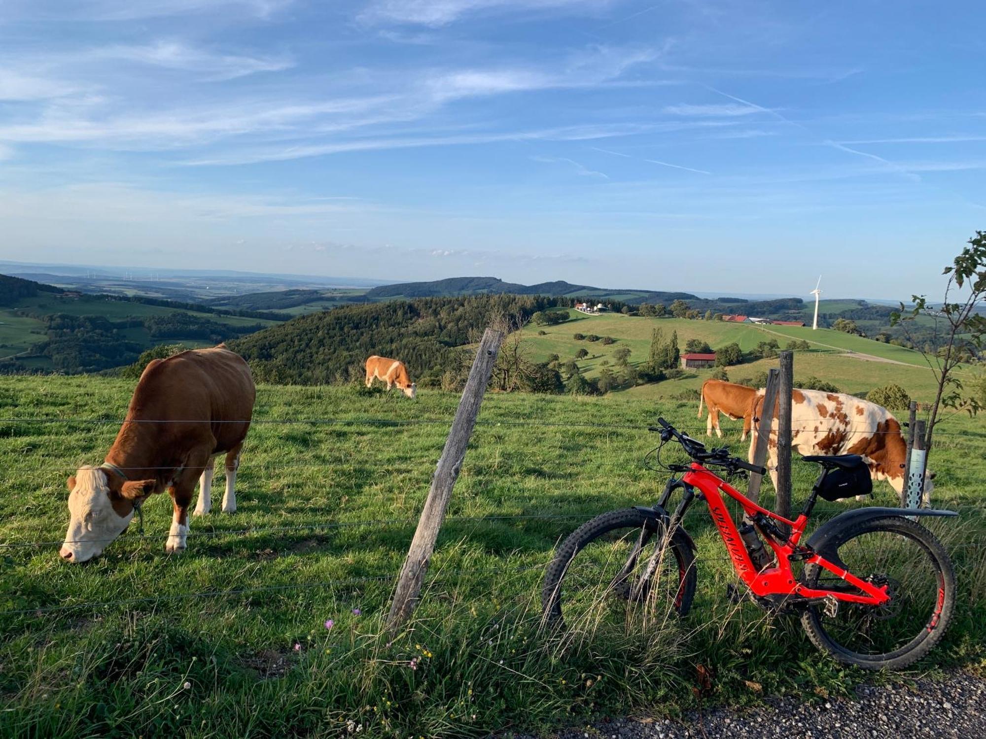 Landgasthof Zur Linde Laaben Buitenkant foto