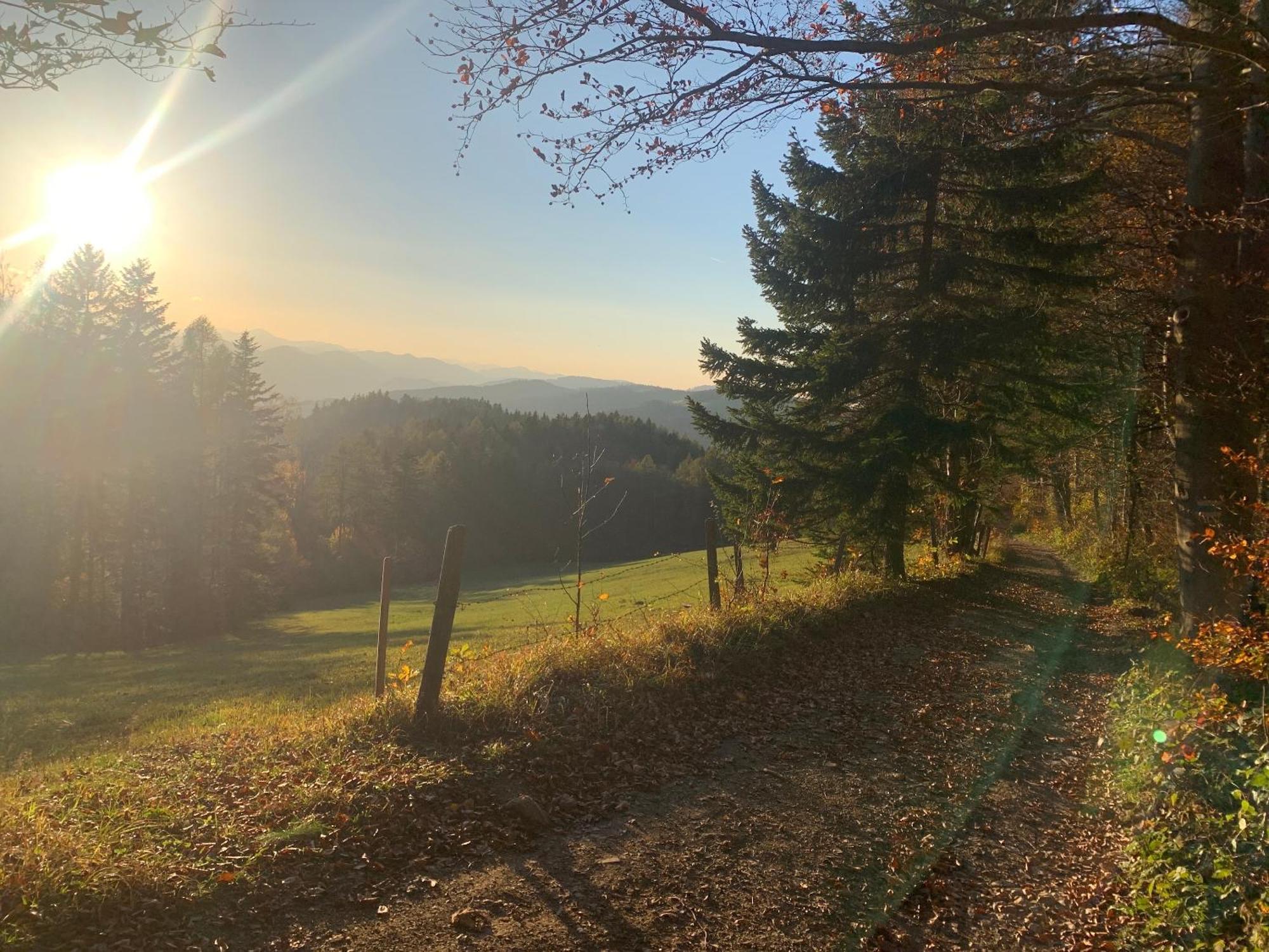 Landgasthof Zur Linde Laaben Buitenkant foto
